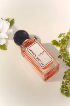 Discount Lu Sidaru Fragranze Esclusive